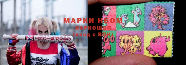 бошки Бронницы