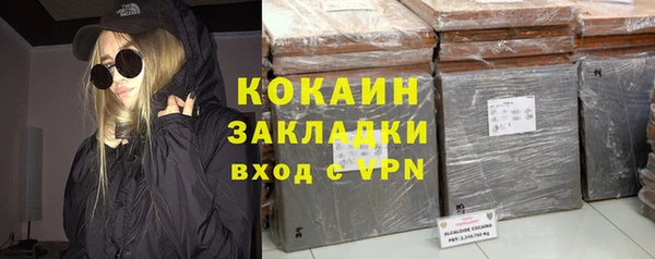 бошки Бронницы