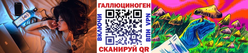 Галлюциногенные грибы Psilocybe  блэк спрут зеркало  Ноябрьск 