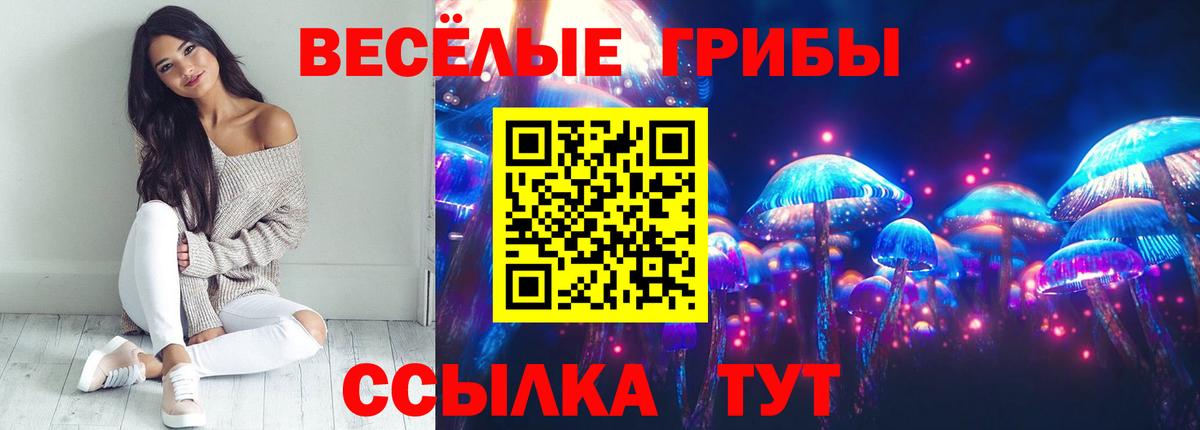 Псилоцибиновые грибы ЛСД Ноябрьск